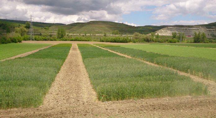 campos Bureba Ebro