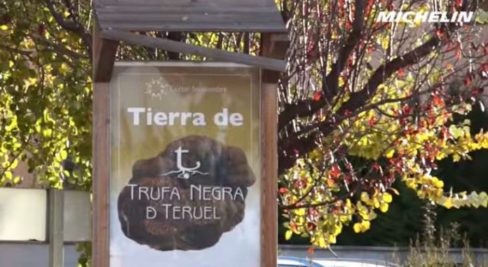 trufa negra Teruel michelin