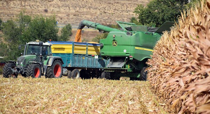cosechadora tractor grano maiz