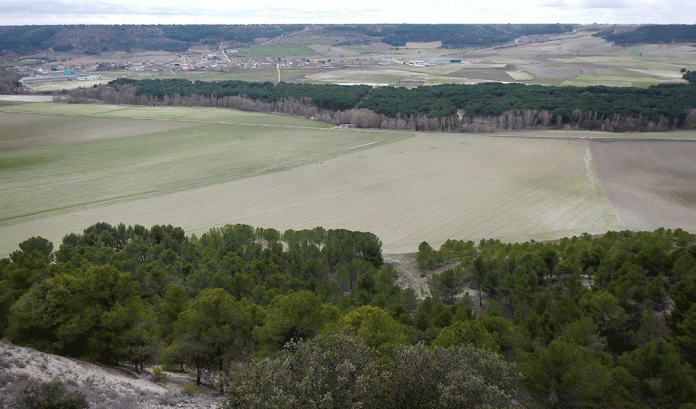 paisaje panoramica campo tierras cereal