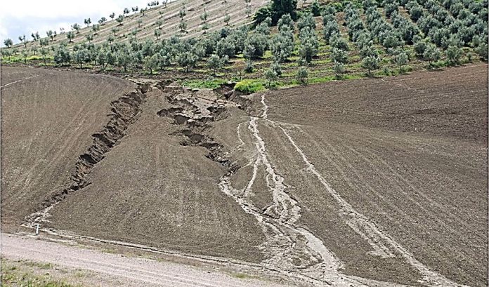 erosion lluvia escorrentia danos seguro olivar
