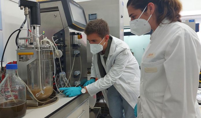 reactor pruebas bioedaria en AINIA laboratorio