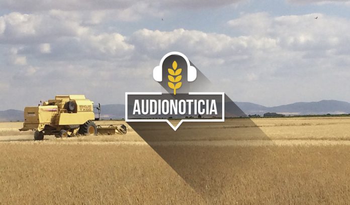 cereal cosechadora audionoticia