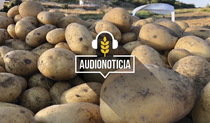 patata-audionoticia